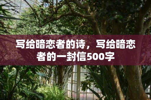 写给暗恋者的诗，写给暗恋者的一封信500字