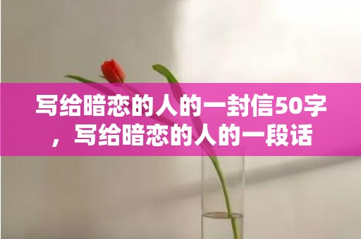 写给暗恋的人的一封信50字，写给暗恋的人的一段话