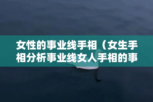 女性的事业线手相（女生手相分析事业线女人手相的事业线是哪里什么意思）