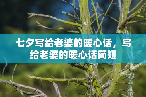 七夕写给老婆的暖心话，写给老婆的暖心话简短