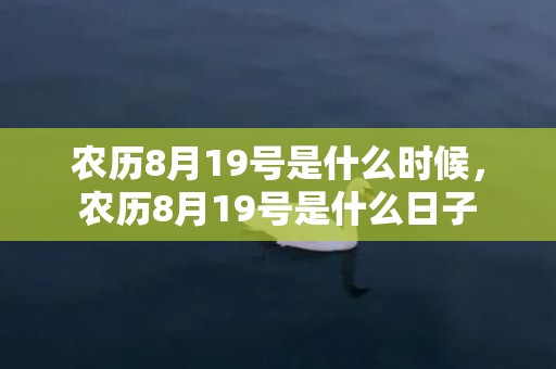 农历8月19号是什么时候，农历8月19号是什么日子