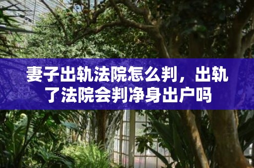 妻子出轨法院怎么判，出轨了法院会判净身出户吗