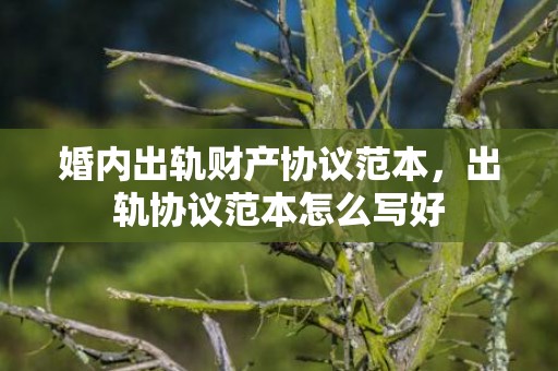 婚内出轨财产协议范本，出轨协议范本怎么写好