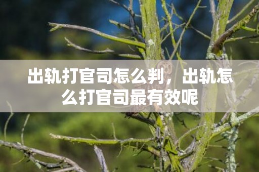 出轨打官司怎么判，出轨怎么打官司最有效呢