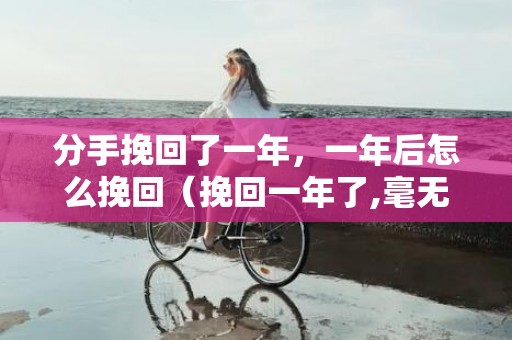 分手挽回了一年，一年后怎么挽回（挽回一年了,毫无进展!还有必要吗?）