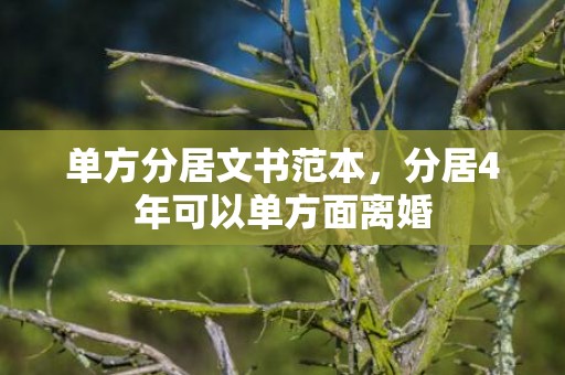 单方分居文书范本，分居4年可以单方面离婚