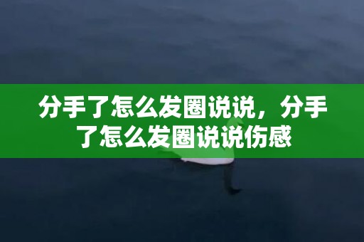 分手了怎么发圈说说，分手了怎么发圈说说伤感