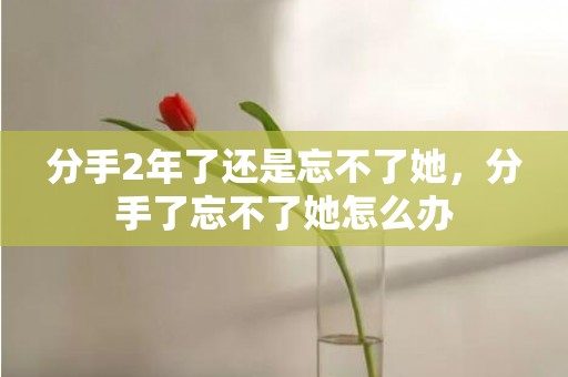 分手2年了还是忘不了她，分手了忘不了她怎么办