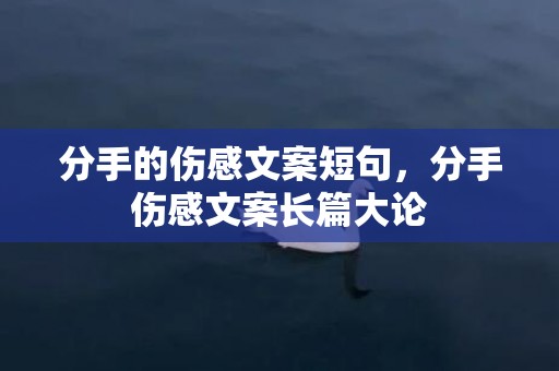 分手的伤感文案短句，分手伤感文案长篇大论