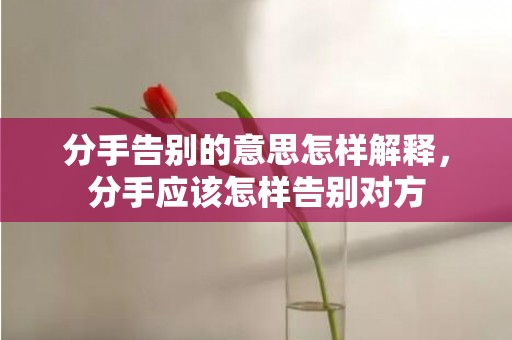 分手告别的意思怎样解释，分手应该怎样告别对方