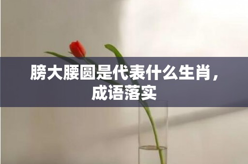 膀大腰圆是代表什么生肖，成语落实