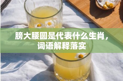 膀大腰圆是代表什么生肖，词语解释落实