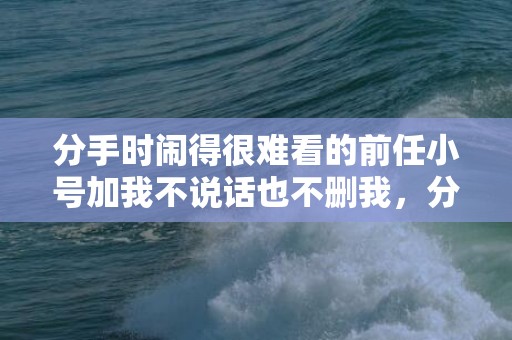 分手时闹得很难看的前任小号加我不说话也不删我，分手时闹得很难看怎么办