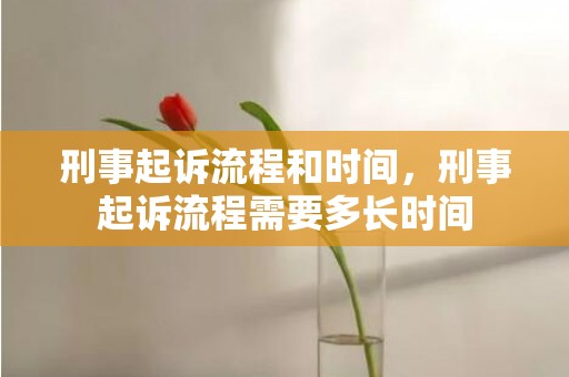 刑事起诉流程和时间，刑事起诉流程需要多长时间