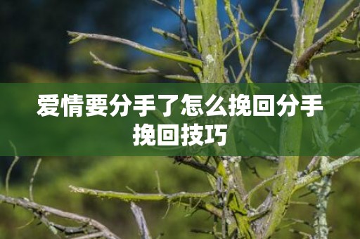 爱情要分手了怎么挽回分手挽回技巧