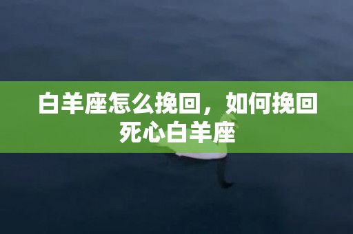 白羊座怎么挽回，如何挽回死心白羊座