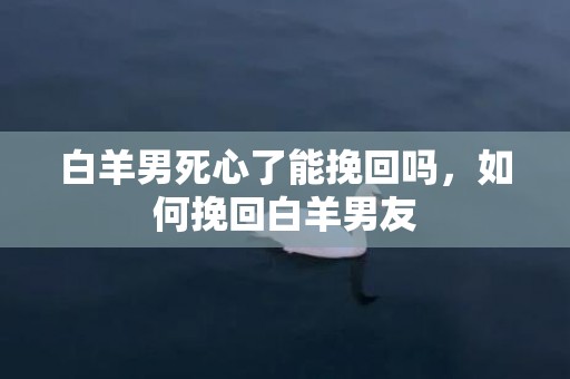 白羊男死心了能挽回吗，如何挽回白羊男友