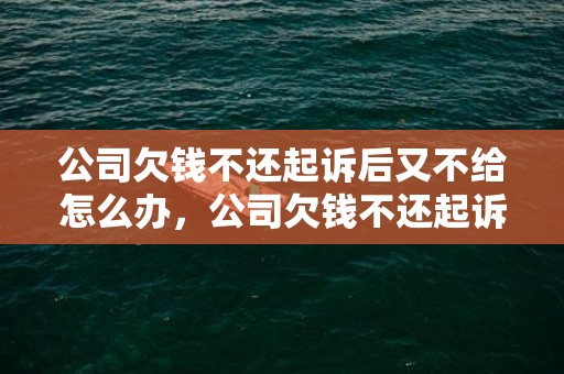 公司欠钱不还起诉后又不给怎么办，公司欠钱不还起诉书样本