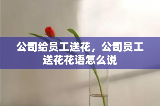 公司给员工送花，公司员工送花花语怎么说