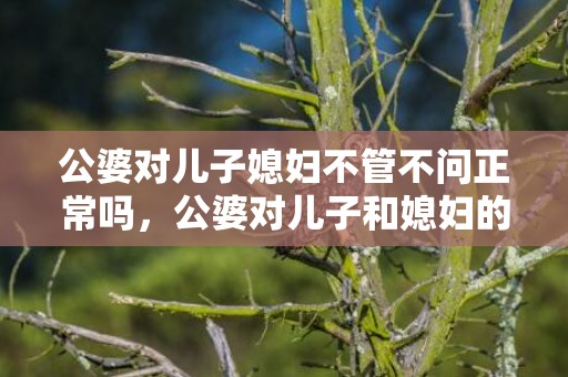 公婆对儿子媳妇不管不问正常吗，公婆对儿子和媳妇的态度