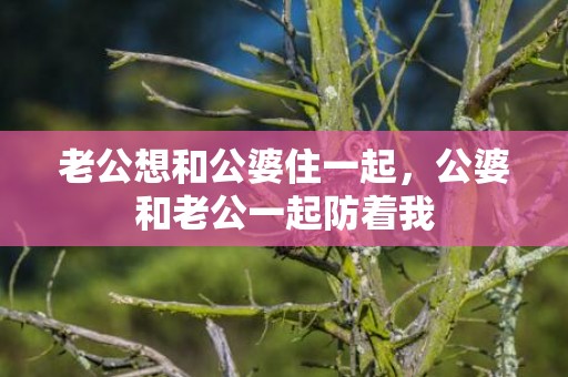 老公想和公婆住一起，公婆和老公一起防着我