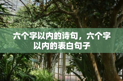 六个字以内的诗句，六个字以内的表白句子