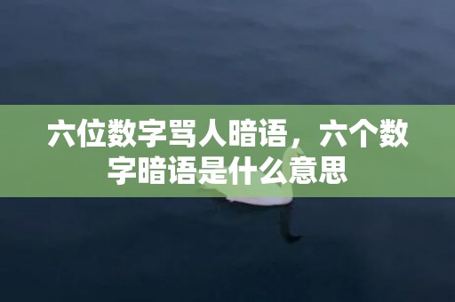 六位数字骂人暗语，六个数字暗语是什么意思