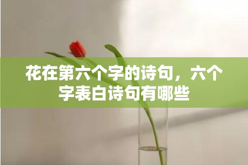 花在第六个字的诗句，六个字表白诗句有哪些