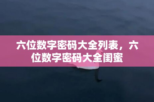 六位数字密码大全列表，六位数字密码大全闺蜜