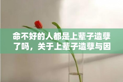 命不好的人都是上辈子造孽了吗，关于上辈子造孽与因果