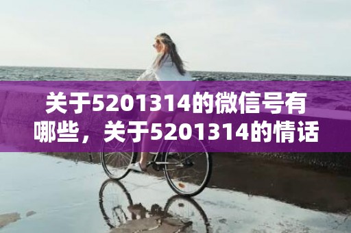 关于5201314的微信号有哪些，关于5201314的情话句子