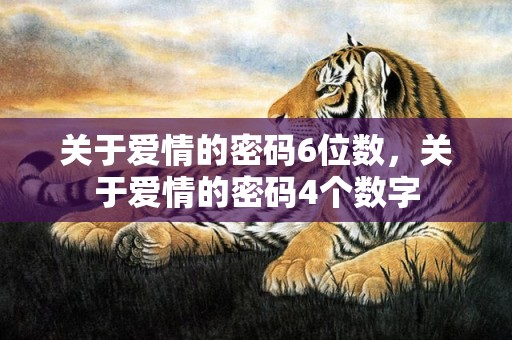 关于爱情的密码6位数，关于爱情的密码4个数字