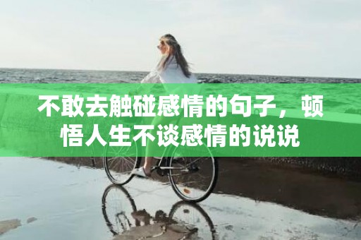 不敢去触碰感情的句子，顿悟人生不谈感情的说说