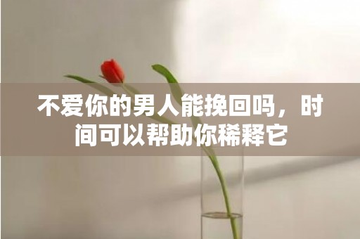 不爱你的男人能挽回吗，时间可以帮助你稀释它