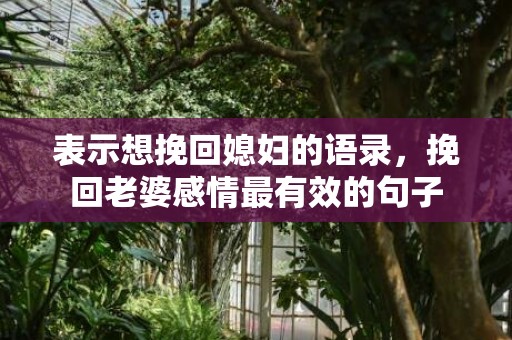 表示想挽回媳妇的语录，挽回老婆感情最有效的句子