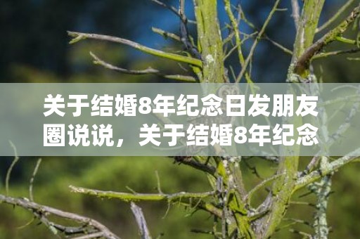 关于结婚8年纪念日发朋友圈说说，关于结婚8年纪念日的说说