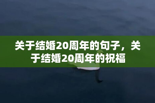 关于结婚20周年的句子，关于结婚20周年的祝福