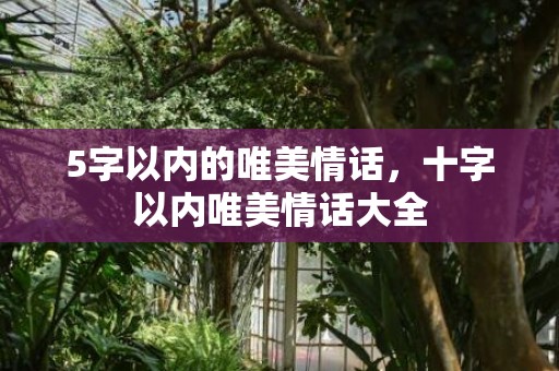 5字以内的唯美情话，十字以内唯美情话大全