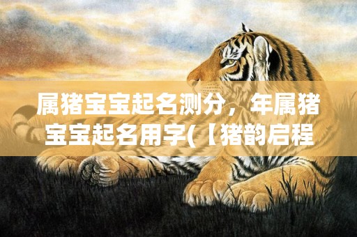 属猪宝宝起名测分，年属猪宝宝起名用字(【猪韵启程】新时代猪宝宝起名指南)