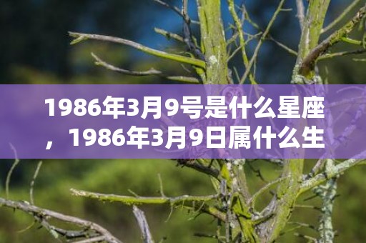 1986年3月9号是什么星座，1986年3月9日属什么生肖 性格怎么样