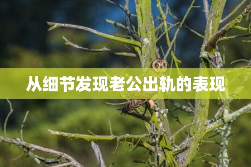 从细节发现老公出轨的表现