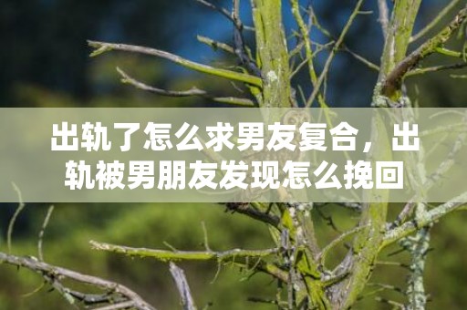 出轨了怎么求男友复合，出轨被男朋友发现怎么挽回