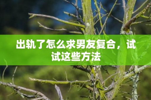 出轨了怎么求男友复合，试试这些方法