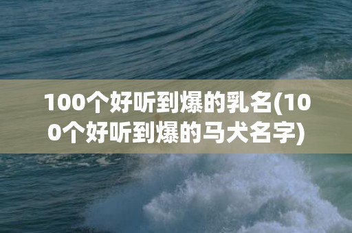 100个好听到爆的乳名(100个好听到爆的马犬名字)