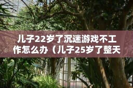 儿子22岁了沉迷游戏不工作怎么办（儿子25岁了整天玩游戏怎么办）