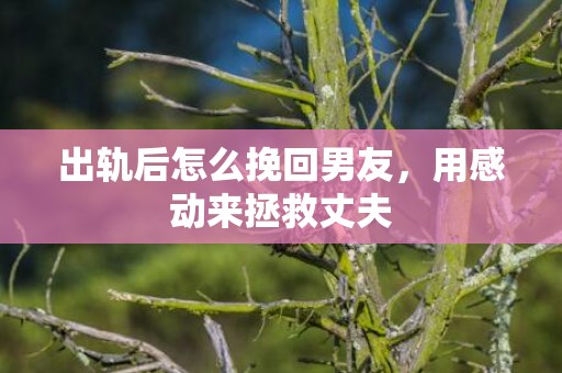 出轨后怎么挽回男友，用感动来拯救丈夫