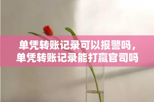 单凭转账记录可以报警吗，单凭转账记录能打赢官司吗