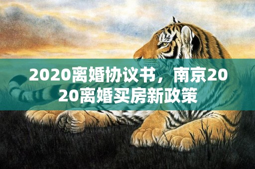 2020离婚协议书，南京2020离婚买房新政策