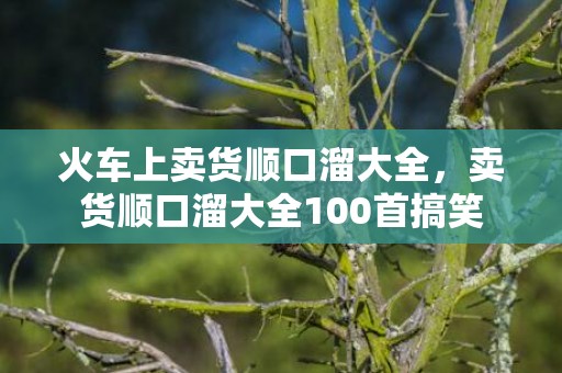 火车上卖货顺口溜大全，卖货顺口溜大全100首搞笑