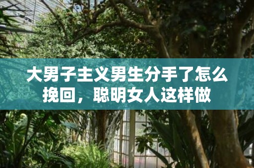 大男子主义男生分手了怎么挽回，聪明女人这样做